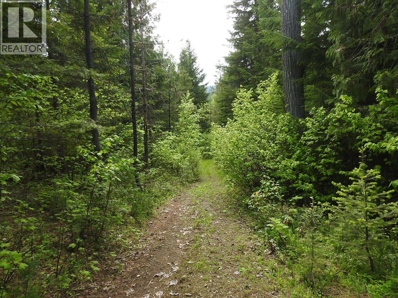 1433 Sugar Lake Road, Cherryville, British Columbia  V0E 2G2 - Photo 88 - 10337945