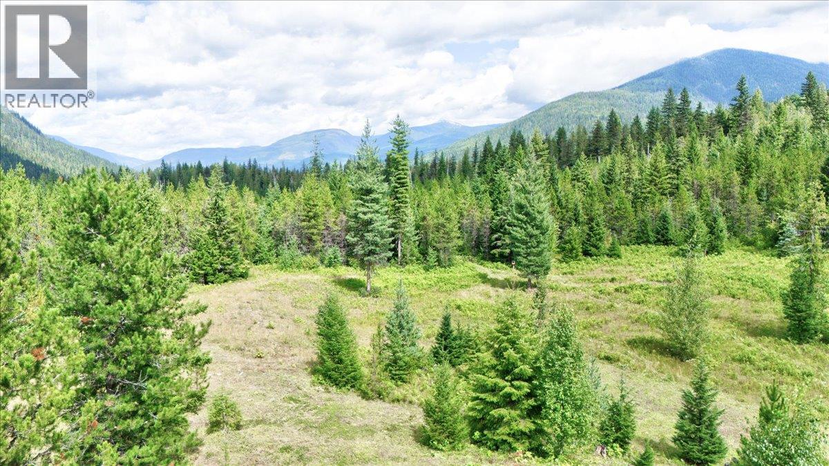 1433 Sugar Lake Road, Cherryville, British Columbia  V0E 2G2 - Photo 81 - 10337945