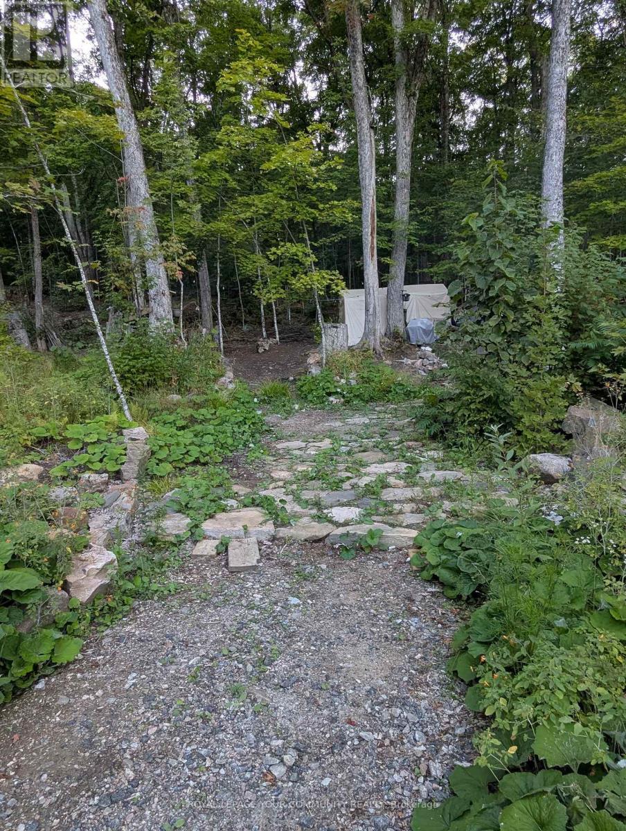 1035 Hearts Content Drive, Highlands East (Glamorgan), Ontario  K0M 1R0 - Photo 3 - X12389731