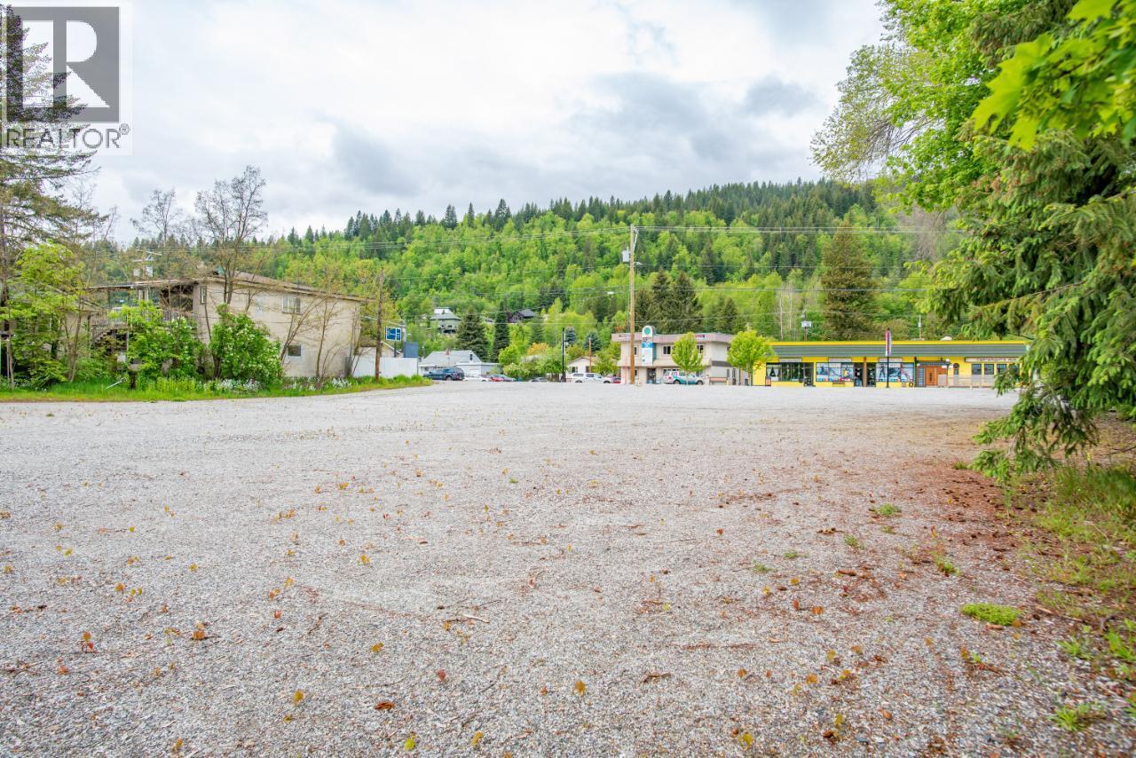 1445 Columbia Avenue, Castlegar, British Columbia  V1N 1H8 - Photo 25 - 10362194