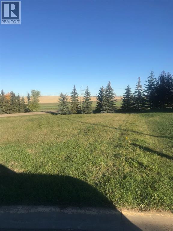 8 Regency, Trochu, Alberta  T0M 2C0 - Photo 3 - A2168816
