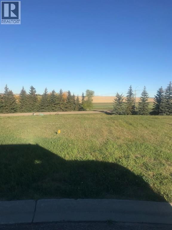 8 Regency, Trochu, Alberta  T0M 2C0 - Photo 5 - A2168816
