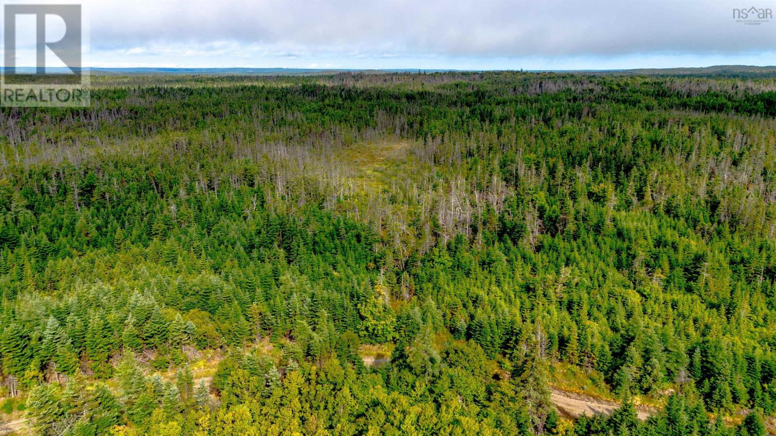 Lot 5&6 Oceanview Road, French Road, Nova Scotia  B0A 1P0 - Photo 6 - 202522733