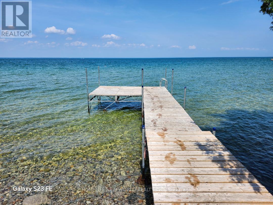 853 Fairbank Avenue, Georgina (Historic Lakeshore Communities), Ontario  L0E 1S0 - Photo 47 - N12390152