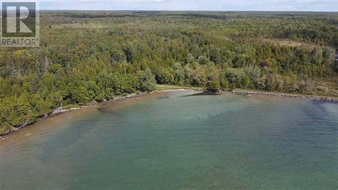 2099 Bidwell Rd, Assiginack, Ontario  P0P 1N0 - Photo 1 - 2124599