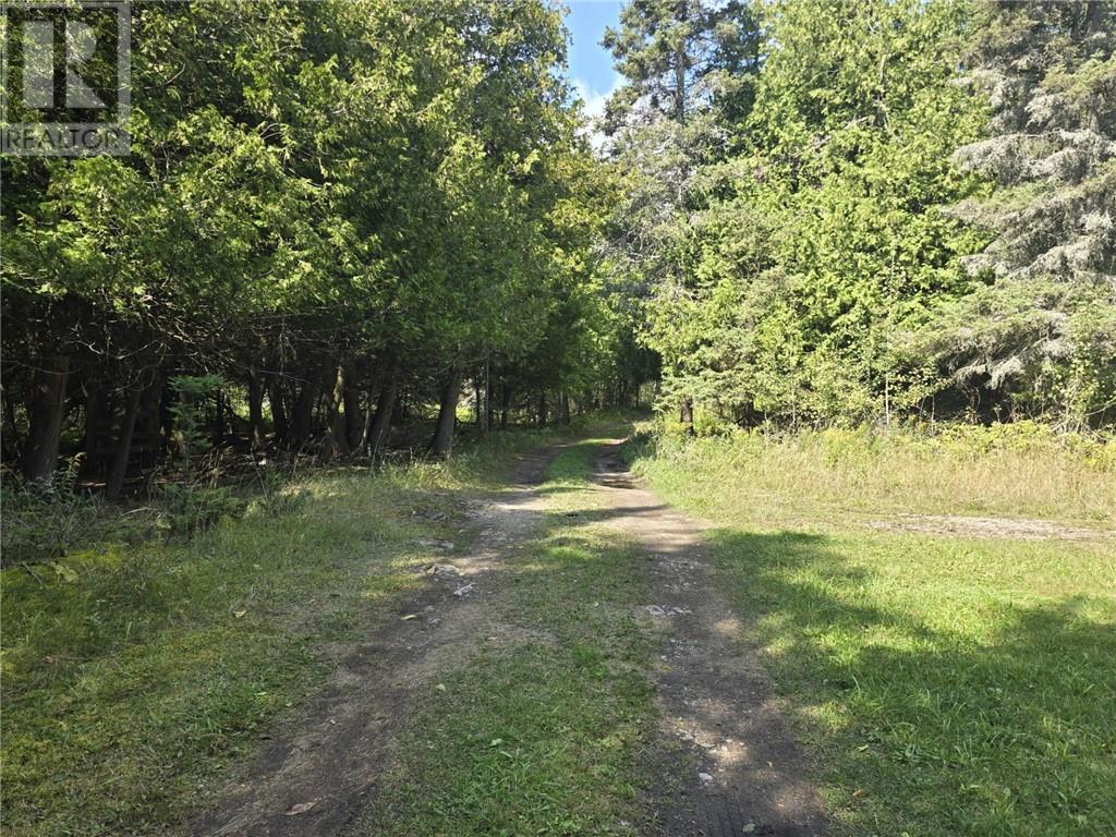 2099 Bidwell Rd, Assiginack, Ontario  P0P 1N0 - Photo 10 - 2124599