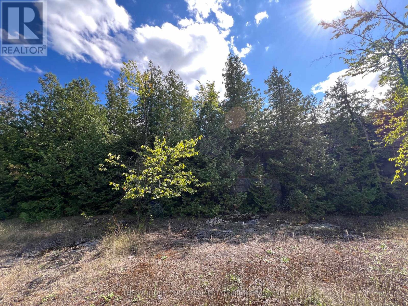 0 Tower Road, Madoc, Ontario  K0K 1Y0 - Photo 1 - X12390229