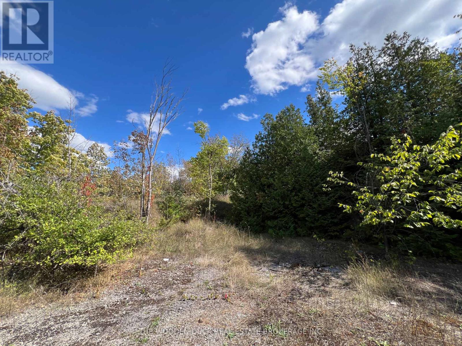 0 Tower Road, Madoc, Ontario  K0K 1Y0 - Photo 2 - X12390229