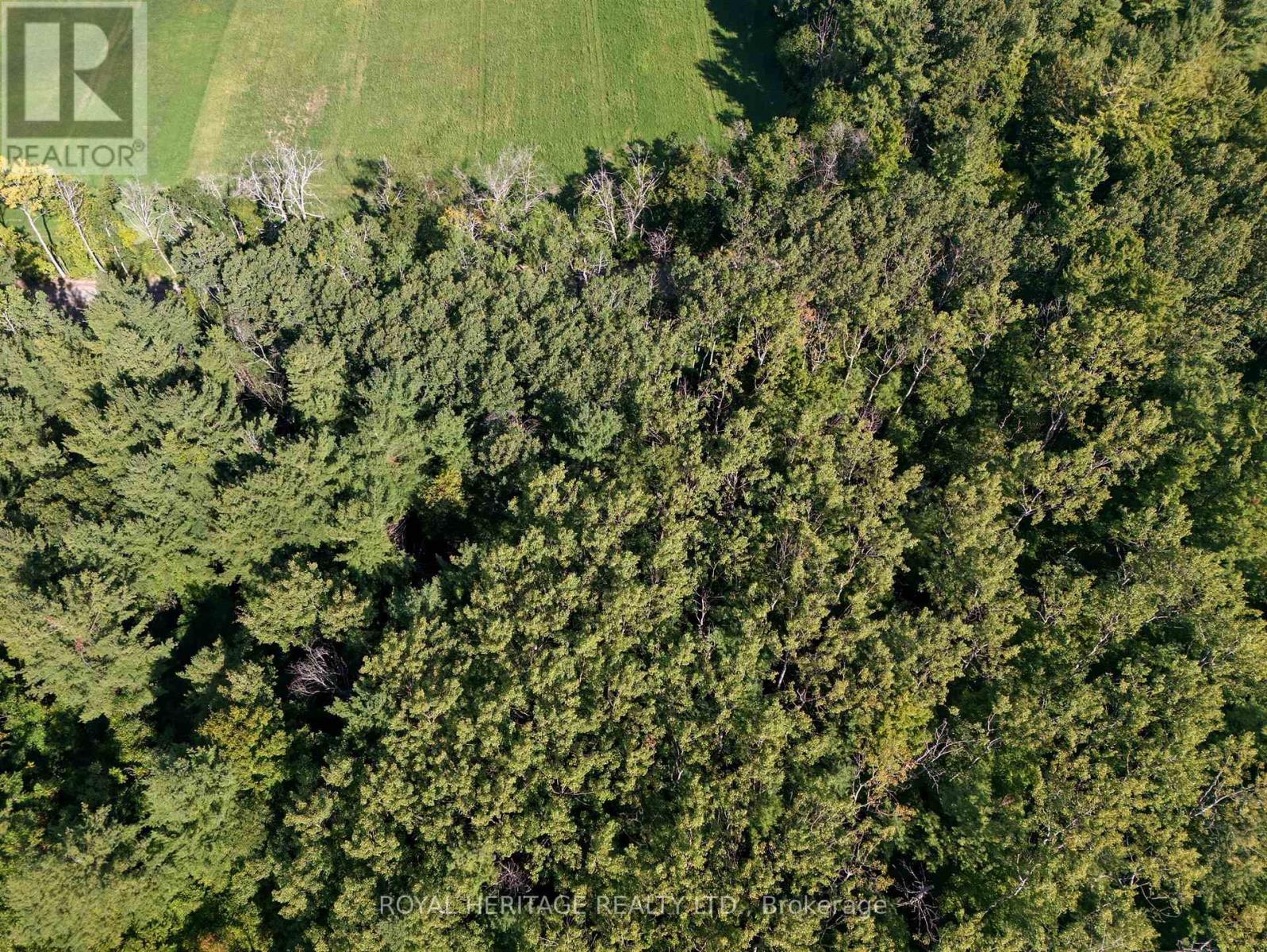 0 Pinewood School Road, Cramahe, Ontario  K0K 1M0 - Photo 13 - X12390421