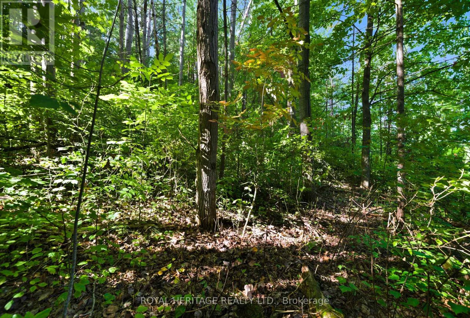 0 Pinewood School Road, Cramahe, Ontario  K0K 1M0 - Photo 18 - X12390421