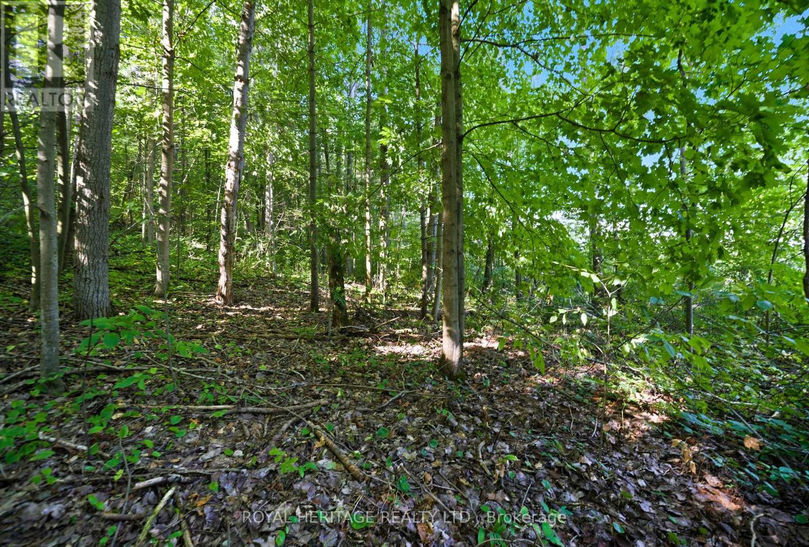 0 Pinewood School Road, Cramahe, Ontario  K0K 1M0 - Photo 19 - X12390421