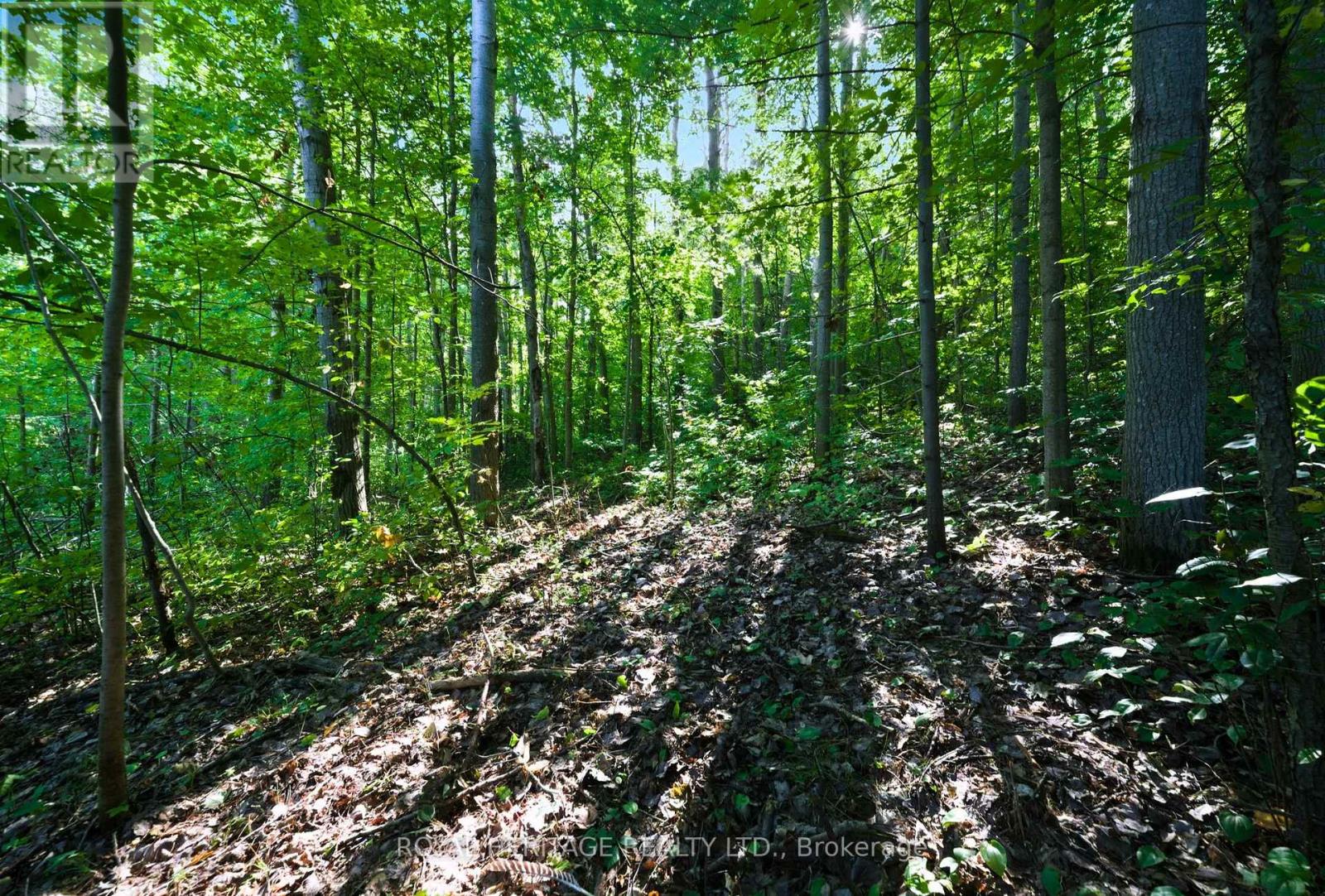 0 Pinewood School Road, Cramahe, Ontario  K0K 1M0 - Photo 20 - X12390421