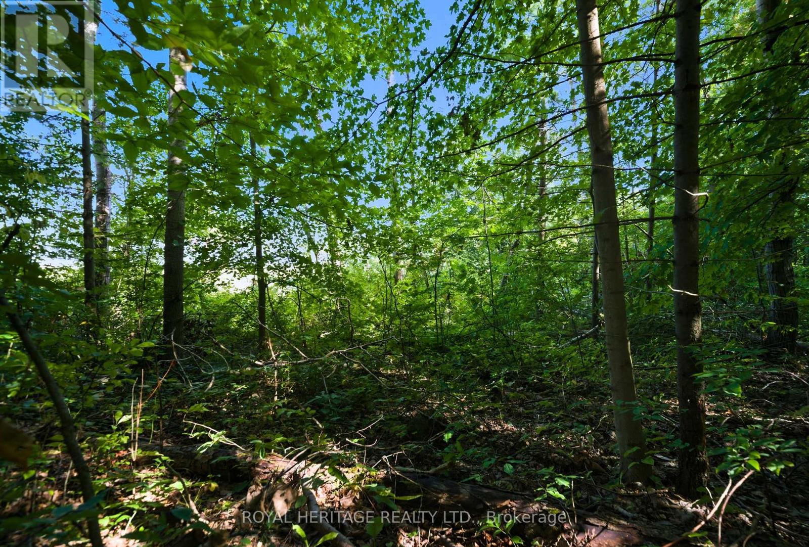 0 Pinewood School Road, Cramahe, Ontario  K0K 1M0 - Photo 23 - X12390421