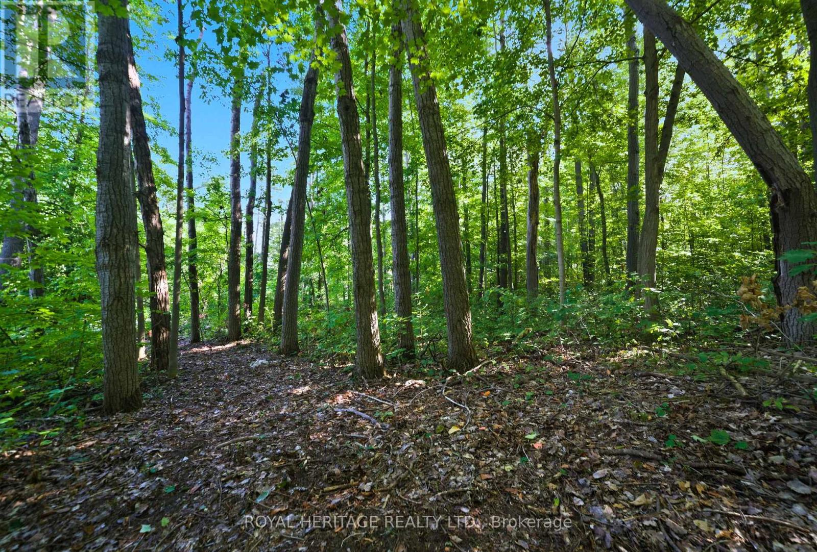 0 Pinewood School Road, Cramahe, Ontario  K0K 1M0 - Photo 24 - X12390421