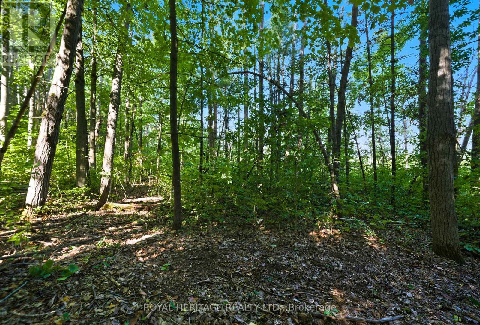 0 Pinewood School Road, Cramahe, Ontario  K0K 1M0 - Photo 25 - X12390421