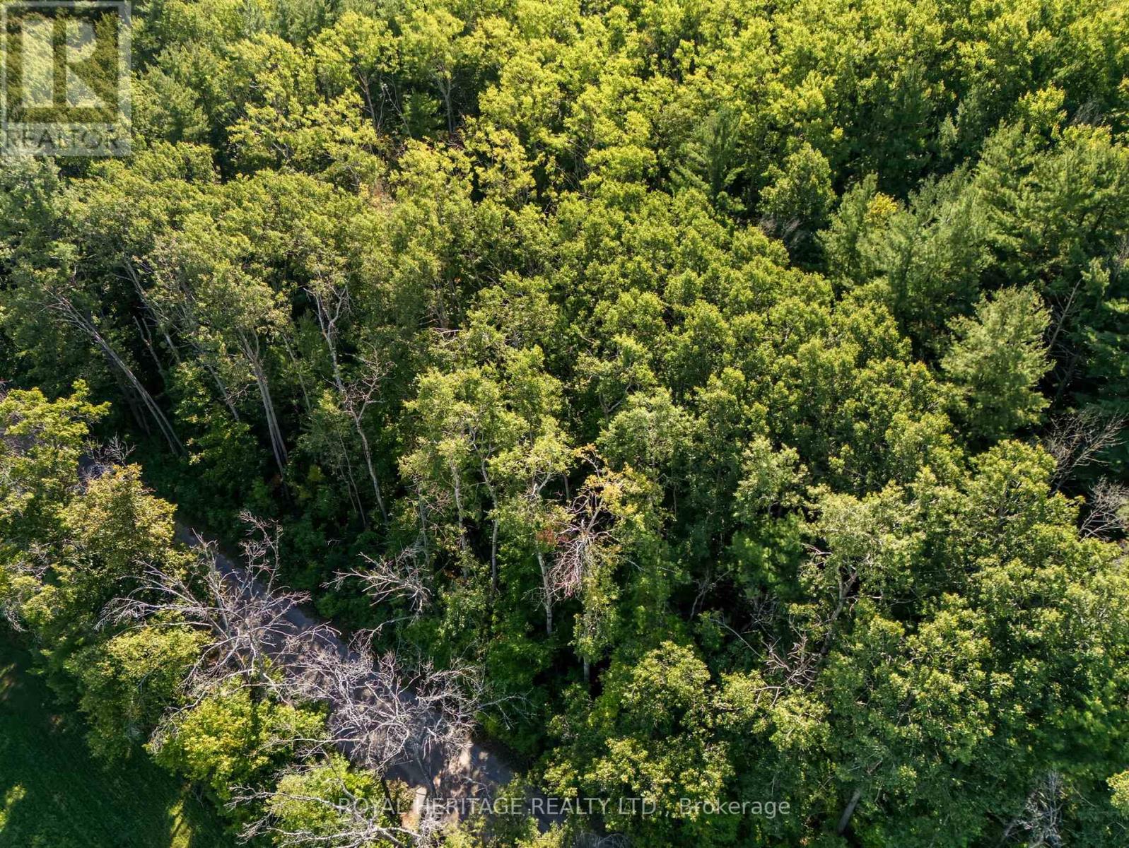 0 Pinewood School Road, Cramahe, Ontario  K0K 1M0 - Photo 3 - X12390421