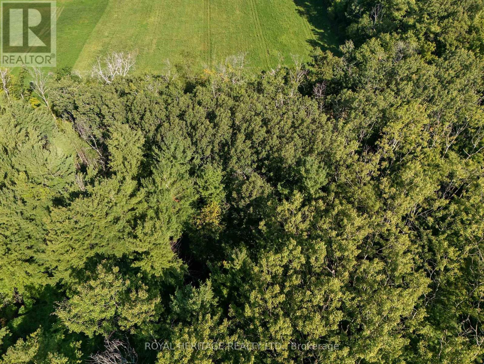 0 Pinewood School Road, Cramahe, Ontario  K0K 1M0 - Photo 7 - X12390421