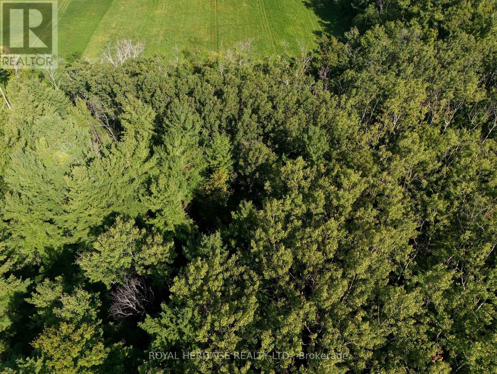 0 Pinewood School Road, Cramahe, Ontario  K0K 1M0 - Photo 8 - X12390421