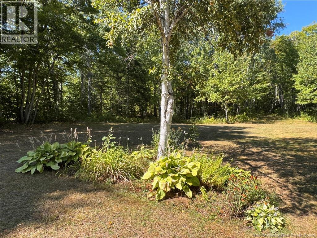 857 Route 160, Allardville, New Brunswick  E8L 1L1 - Photo 42 - NB126324