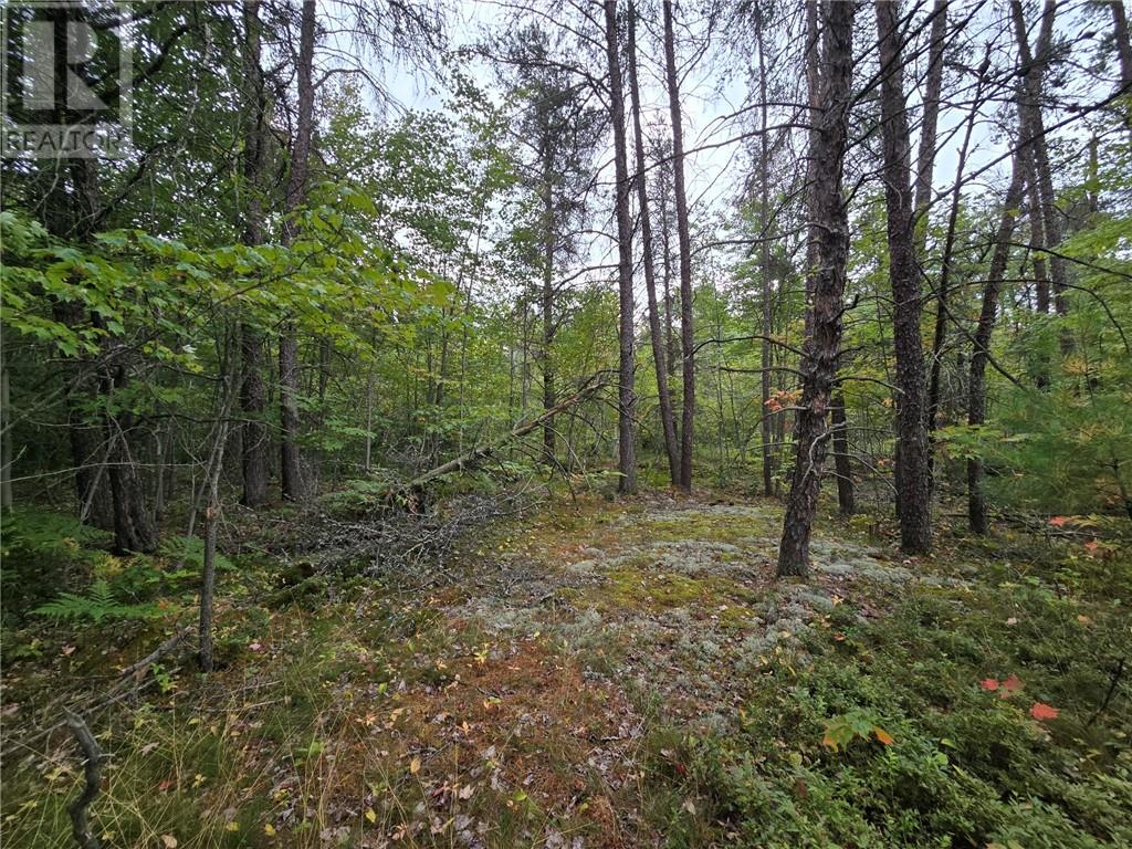 Pcl 18047a Hwy 607, Alban, Ontario  P0M 1A0 - Photo 3 - 2124607