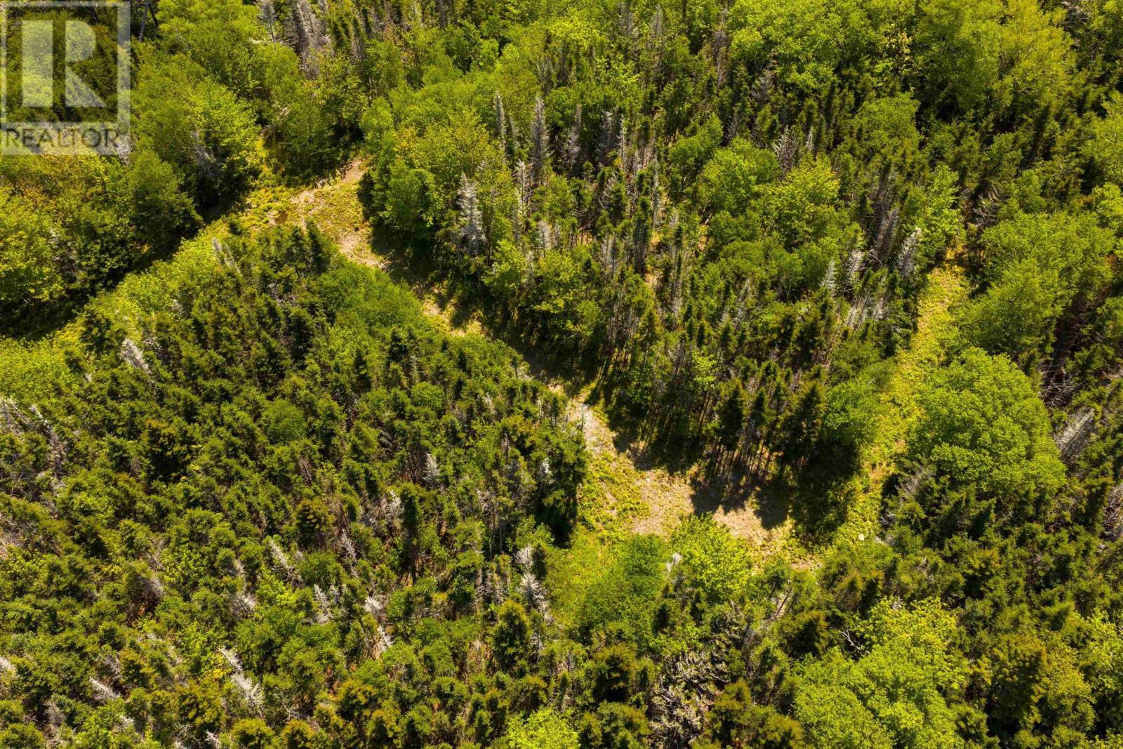 1 Lake Charlotte, Lake Charlotte, Nova Scotia  B0J 1P0 - Photo 8 - 202510825