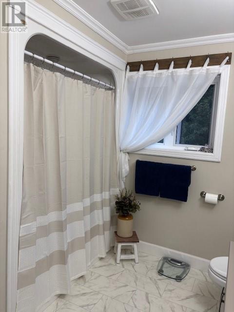 36 Bowater Avenue, Appleton, Newfoundland & Labrador  A0G 2K0 - Photo 8 - 1290121