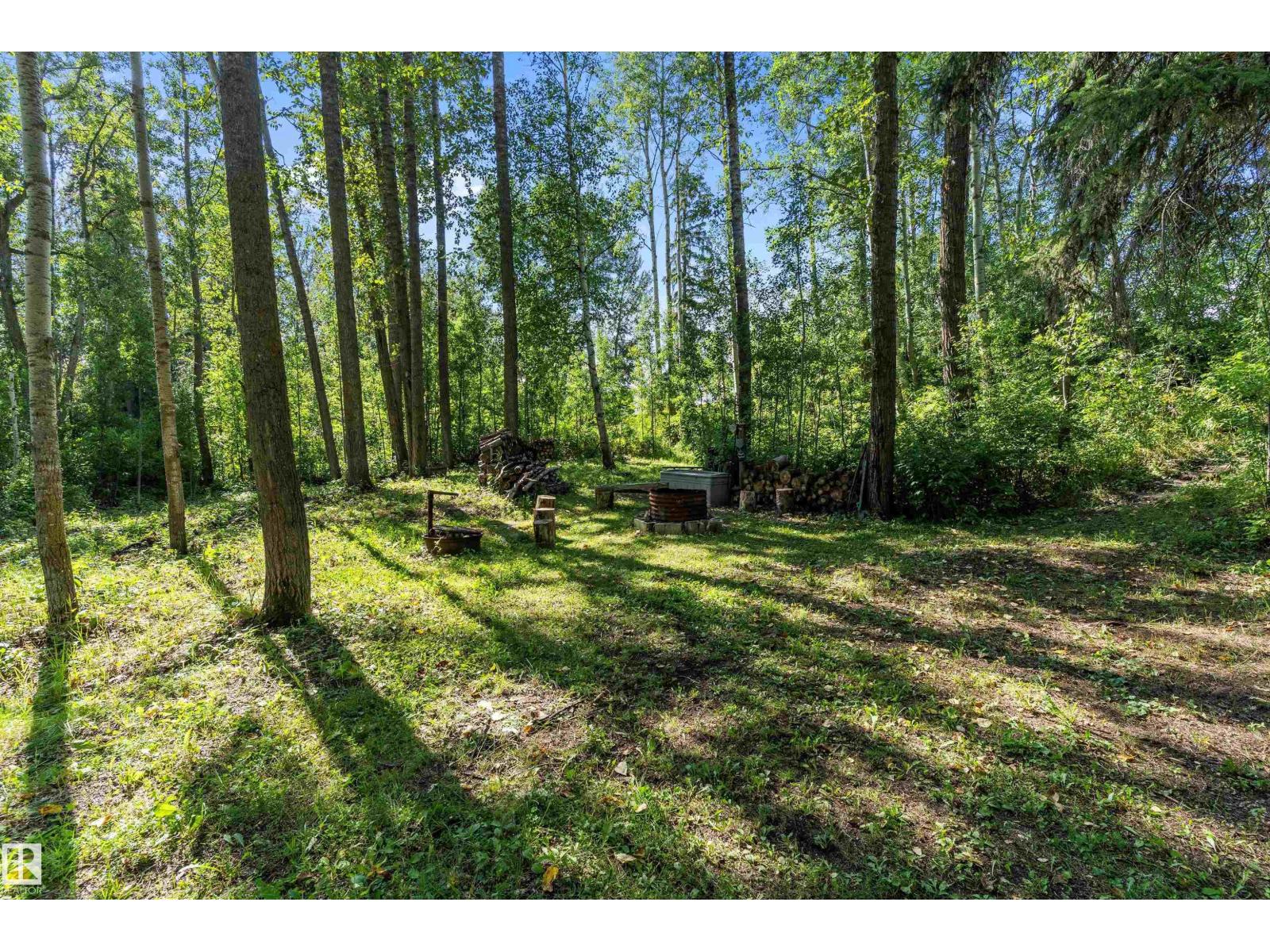 75 Willowview Bv, Rural Parkland County, Alberta  T7Z 0A5 - Photo 51 - E4456839