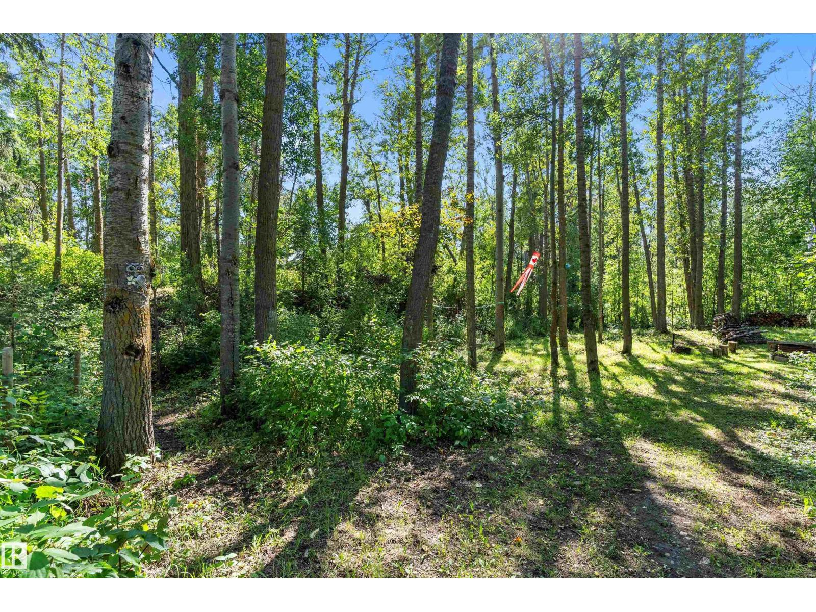 75 Willowview Bv, Rural Parkland County, Alberta  T7Z 0A5 - Photo 52 - E4456839