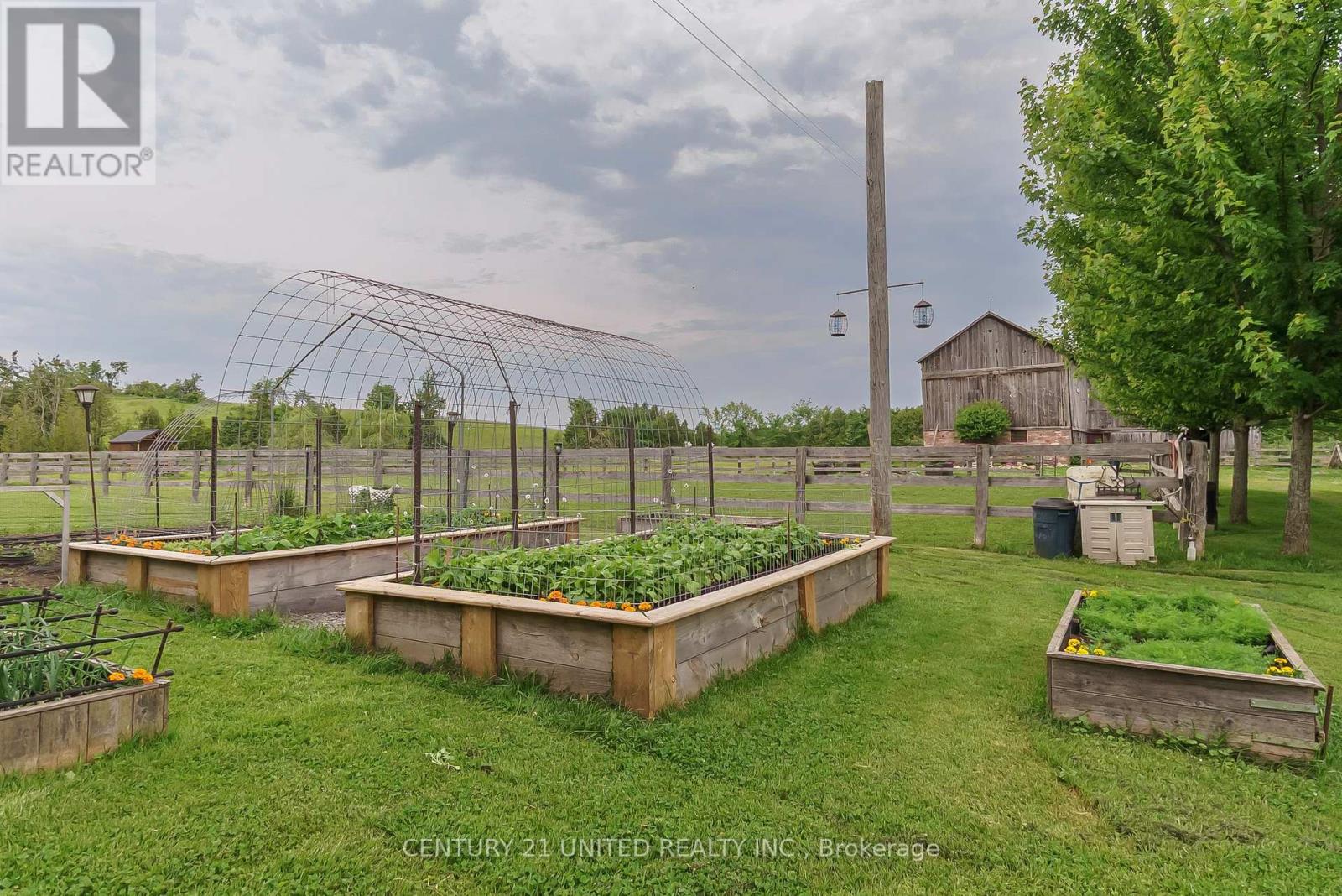 1662 11th Line, Selwyn, Ontario  K0L 2H0 - Photo 30 - X12390724