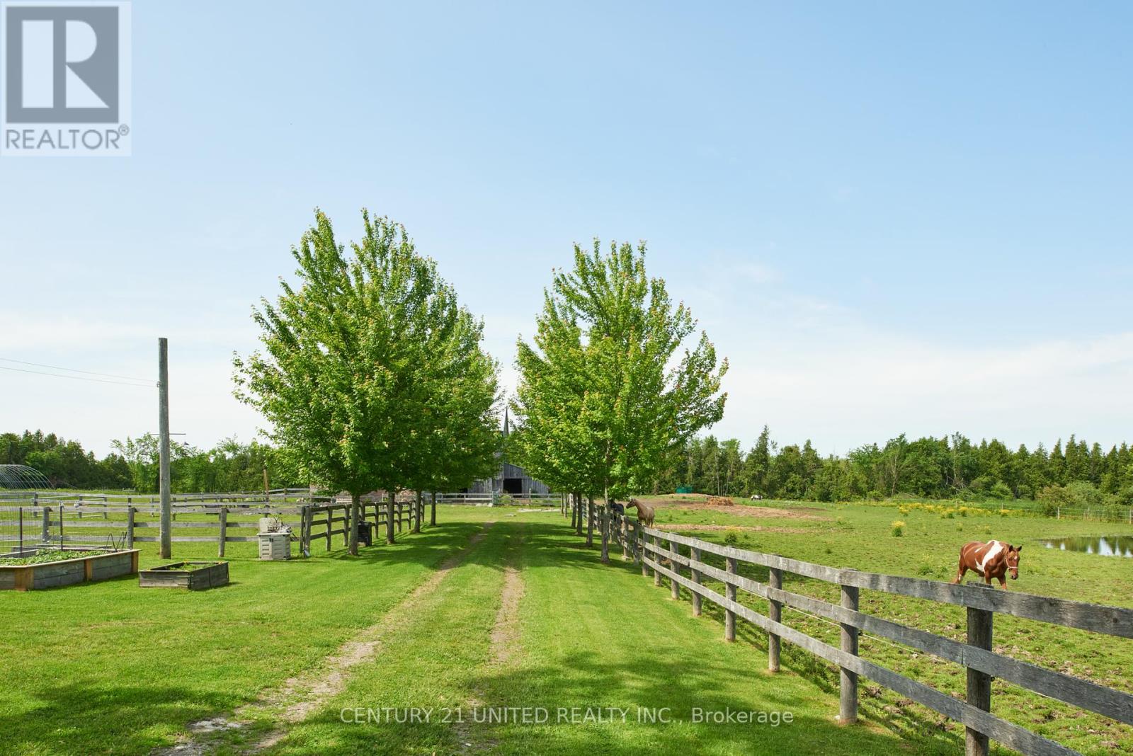 1662 11th Line, Selwyn, Ontario  K0L 2H0 - Photo 38 - X12390724