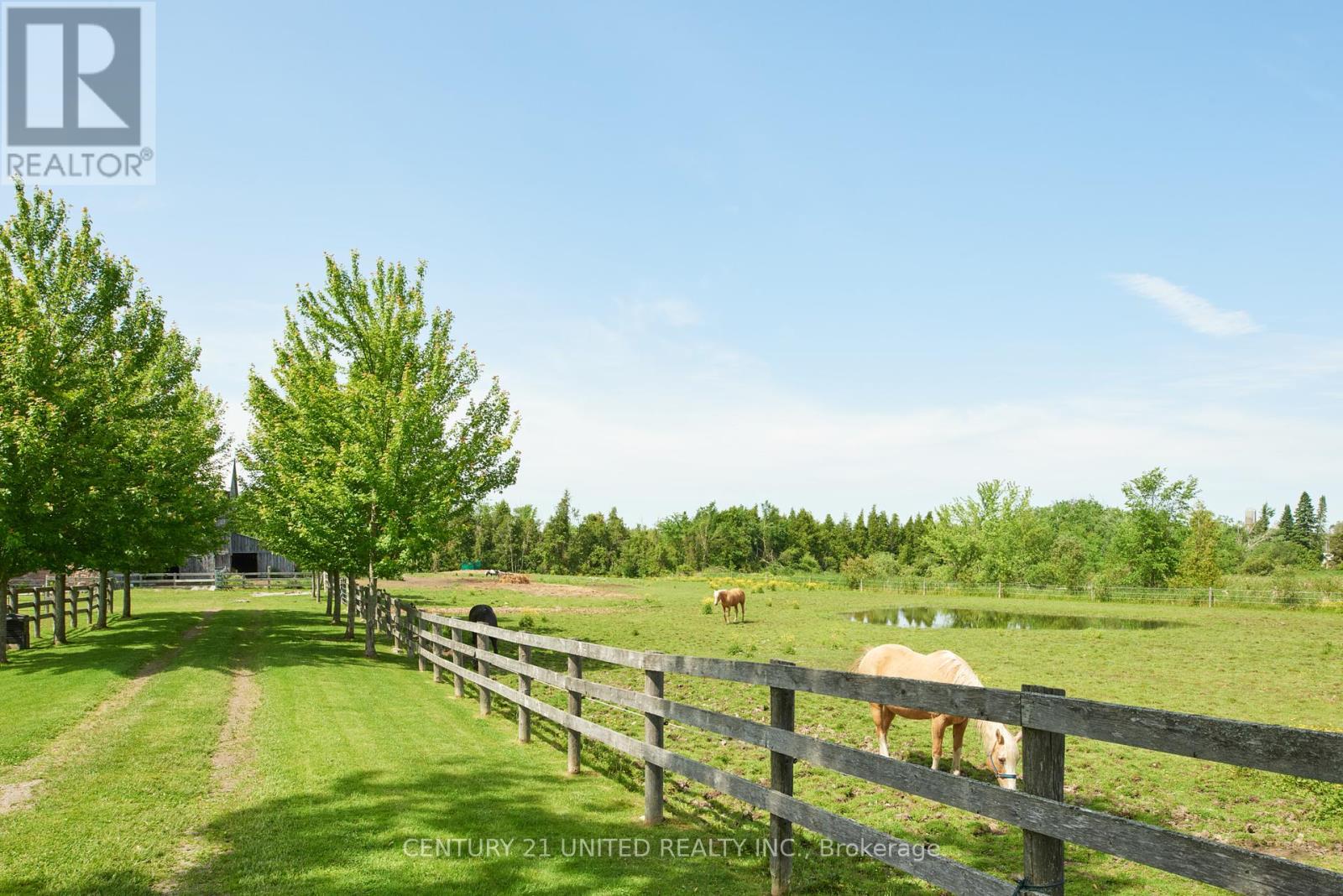 1662 11th Line, Selwyn, Ontario  K0L 2H0 - Photo 39 - X12390724