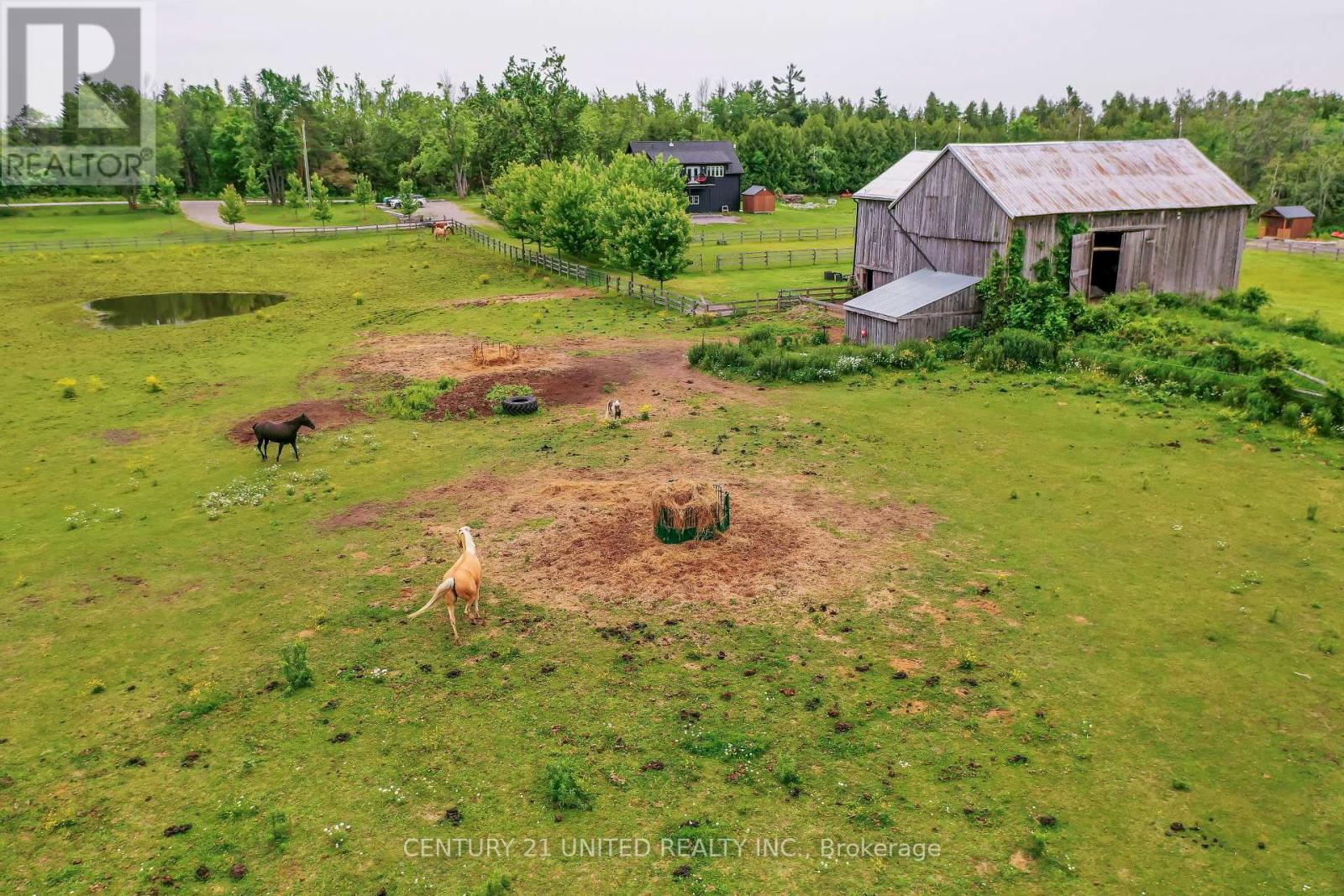 1662 11th Line, Selwyn, Ontario  K0L 2H0 - Photo 46 - X12390724
