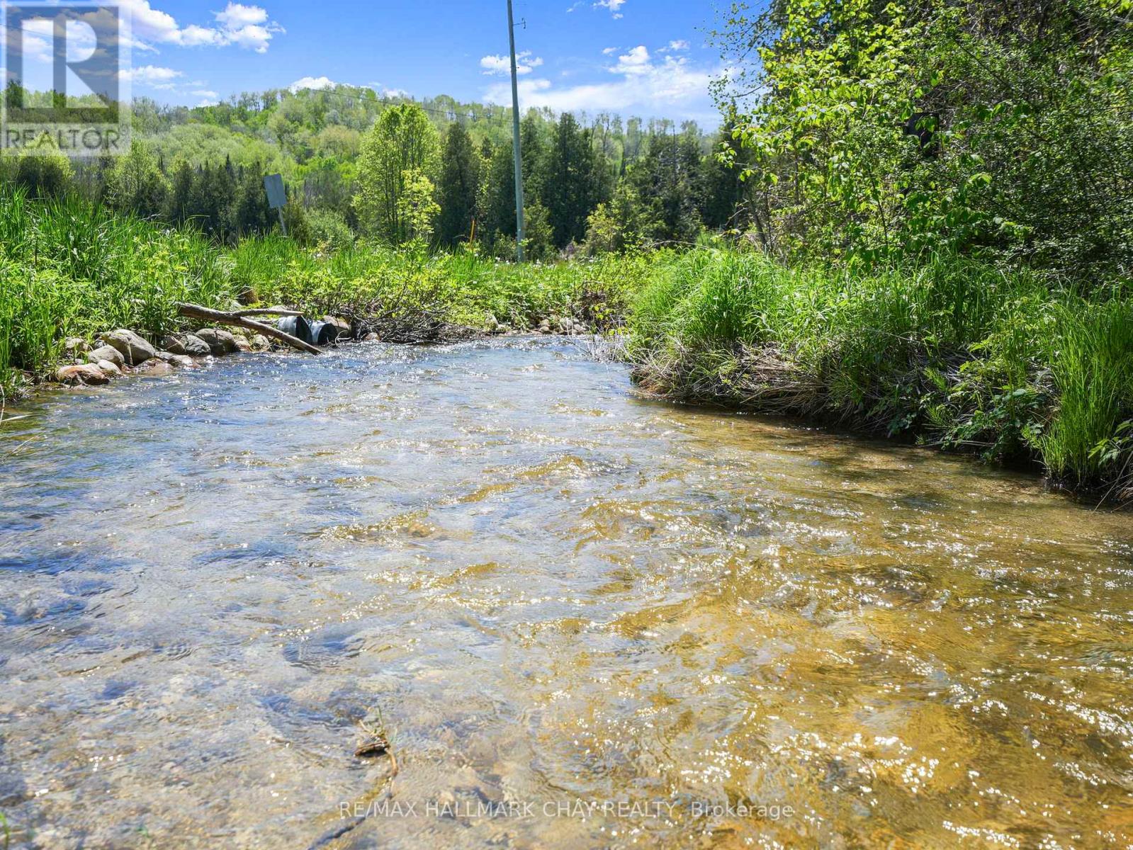 667280 20th Side Road, Mulmur, Ontario  L9V 0V6 - Photo 4 - X12390650