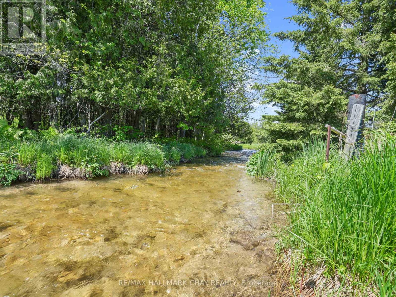 667280 20th Side Road, Mulmur, Ontario  L9V 0V6 - Photo 40 - X12390650