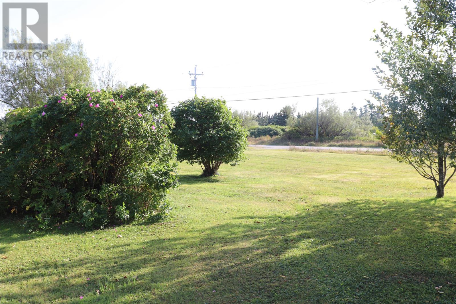 10 Main Road, Piccadilly, Newfoundland & Labrador  A0N 1T0 - Photo 27 - 1290161