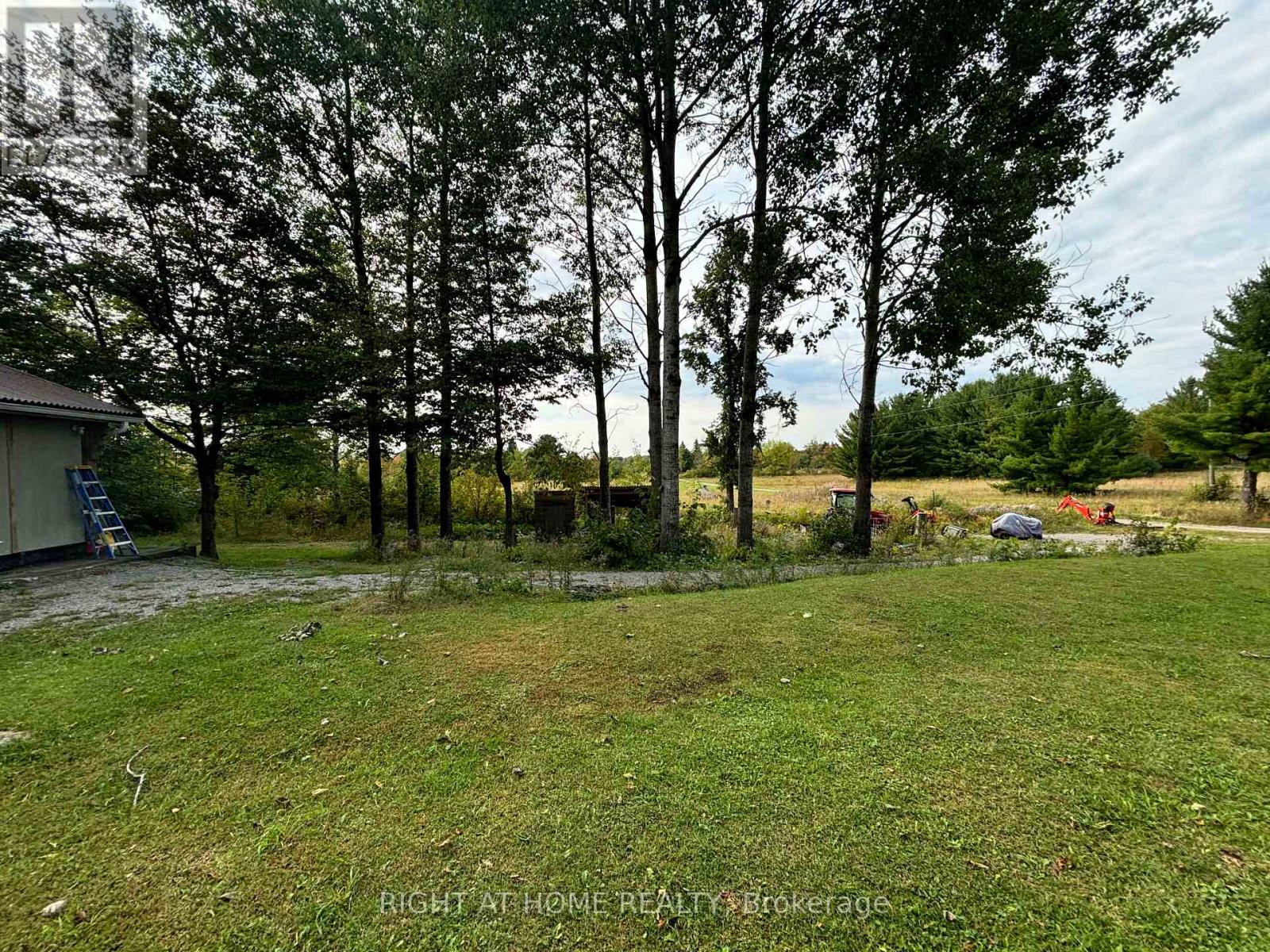 2360 County Road, Kawartha Lakes, Ontario  K0M 2B0 - Photo 26 - X12390024