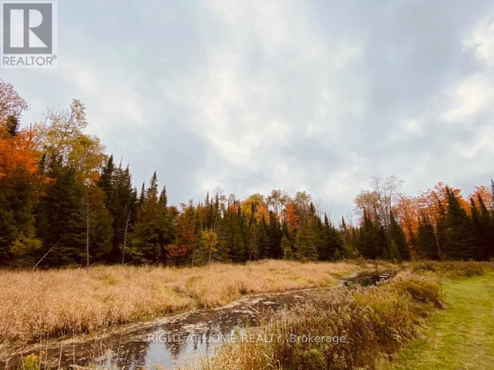 2360 County Road, Kawartha Lakes, Ontario  K0M 2B0 - Photo 6 - X12390024