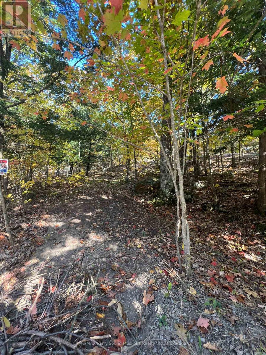 13 Ridgeway Drive, Carling, Ontario  P0G 1G0 - Photo 25 - X12391020