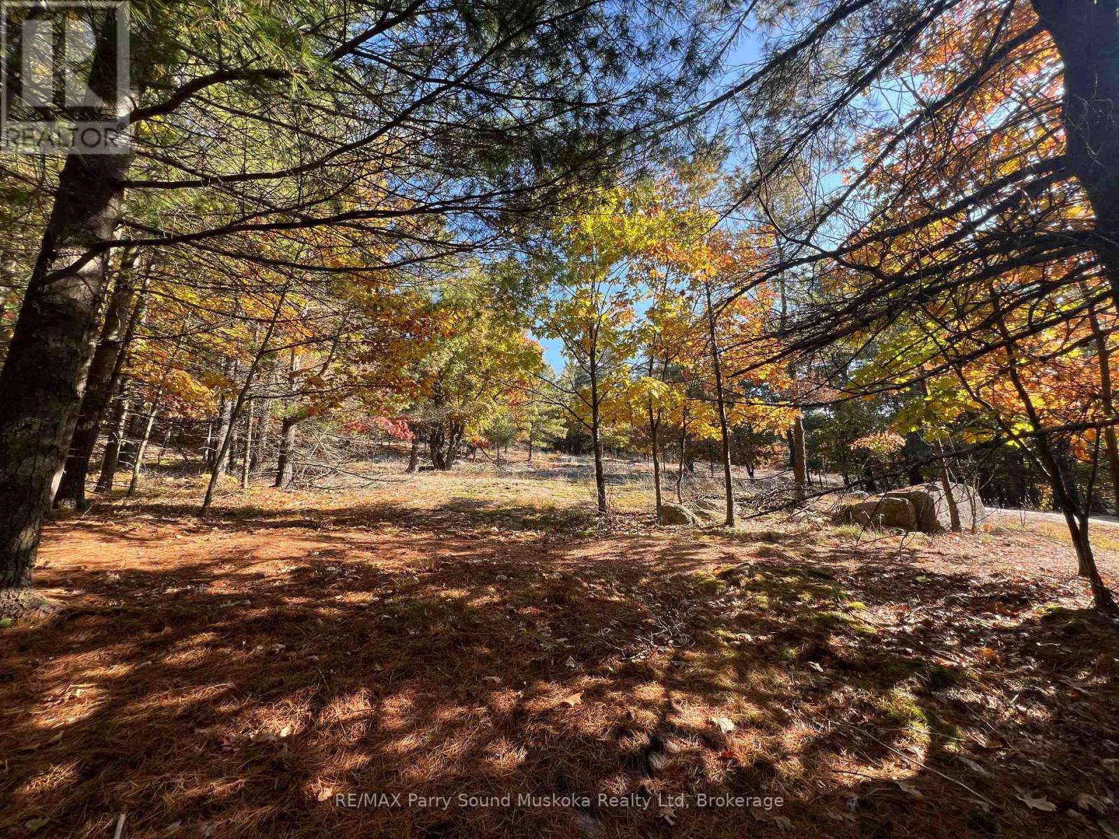 13 Ridgeway Drive, Carling, Ontario  P0G 1G0 - Photo 26 - X12391020
