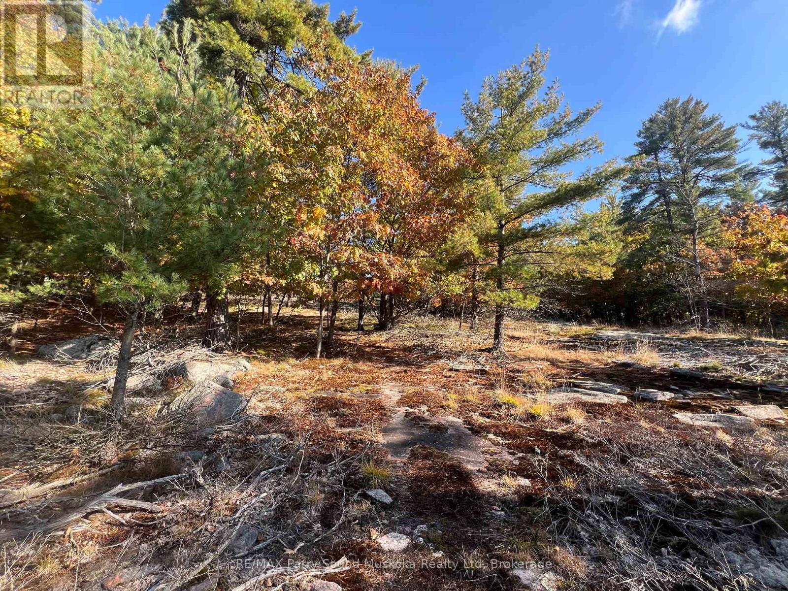 13 Ridgeway Drive, Carling, Ontario  P0G 1G0 - Photo 27 - X12391020
