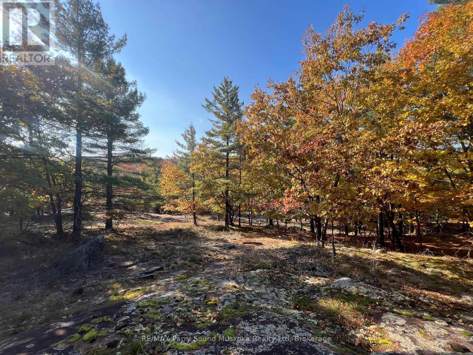 13 Ridgeway Drive, Carling, Ontario  P0G 1G0 - Photo 29 - X12391020