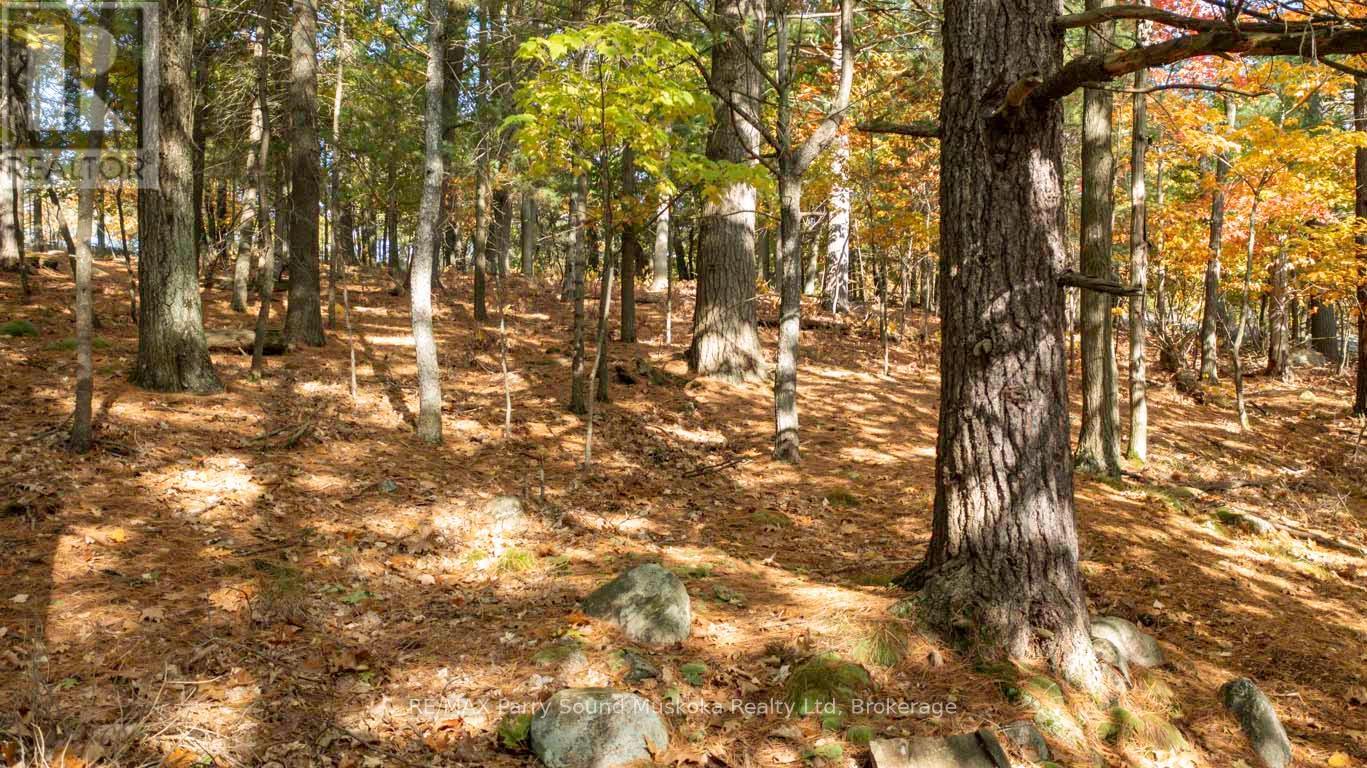 13 Ridgeway Drive, Carling, Ontario  P0G 1G0 - Photo 7 - X12391020