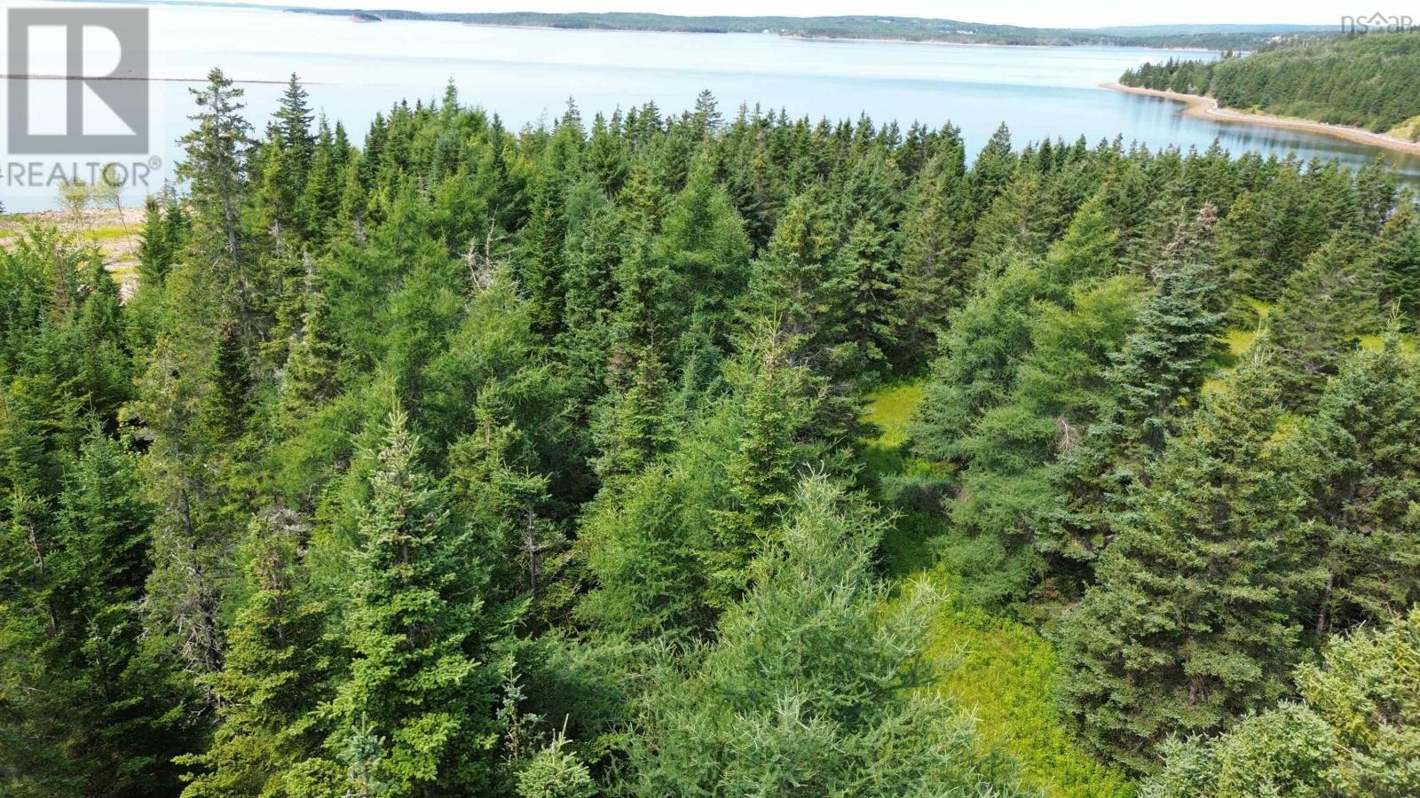 247 Highway, St. Peter's, Nova Scotia  B0E 3B0 - Photo 7 - 202501954
