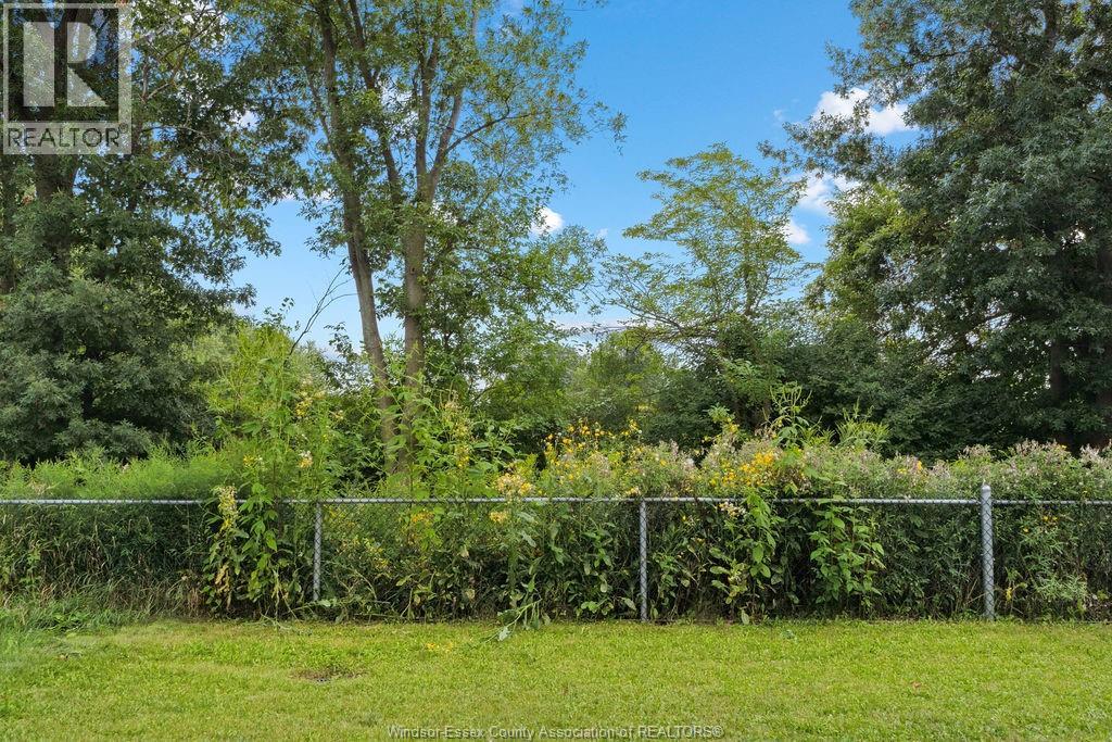 231 Livingstone, Amherstburg, Ontario  N9V 0H1 - Photo 37 - 25022837