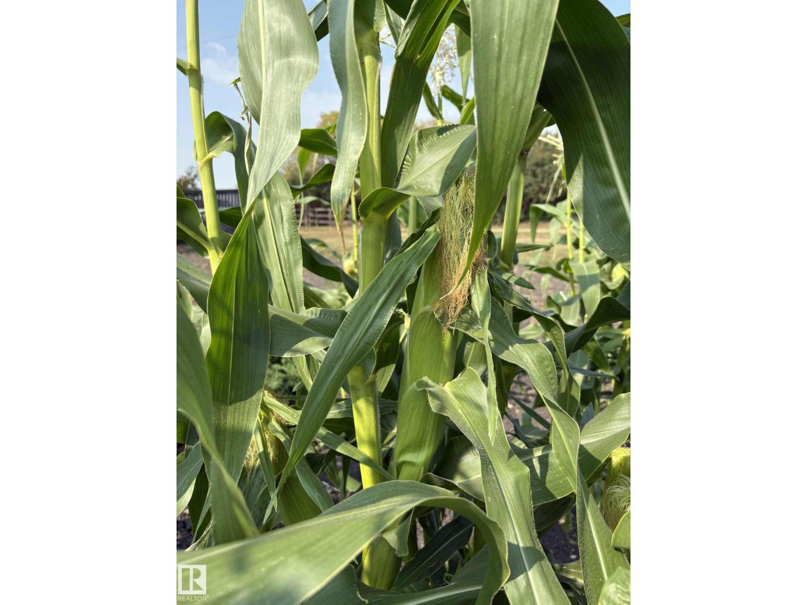 534065 174 Range Road, Rural Lamont County, Alberta  T0B 3H0 - Photo 26 - E4456415