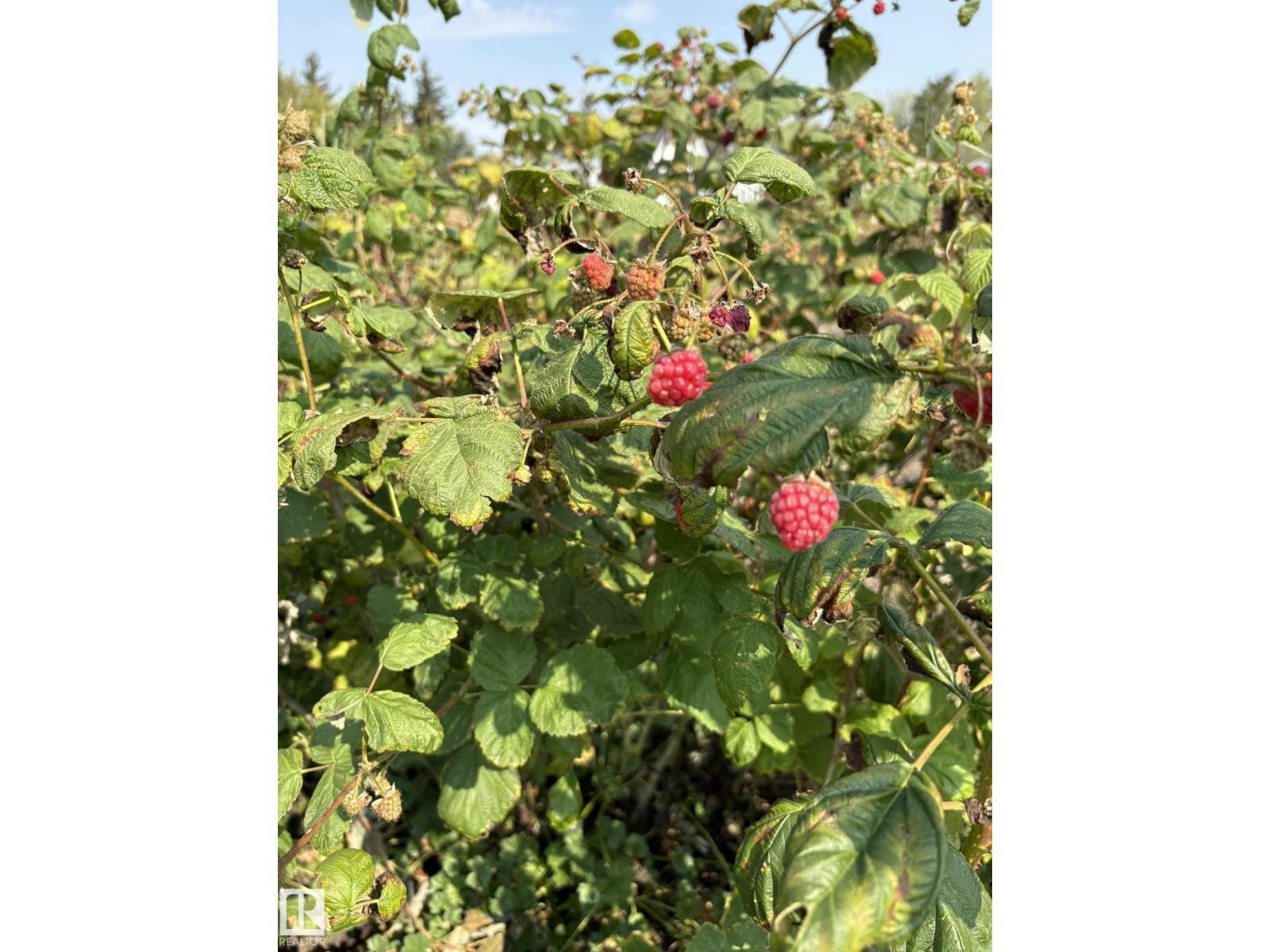 534065 174 Range Road, Rural Lamont County, Alberta  T0B 3H0 - Photo 27 - E4456415