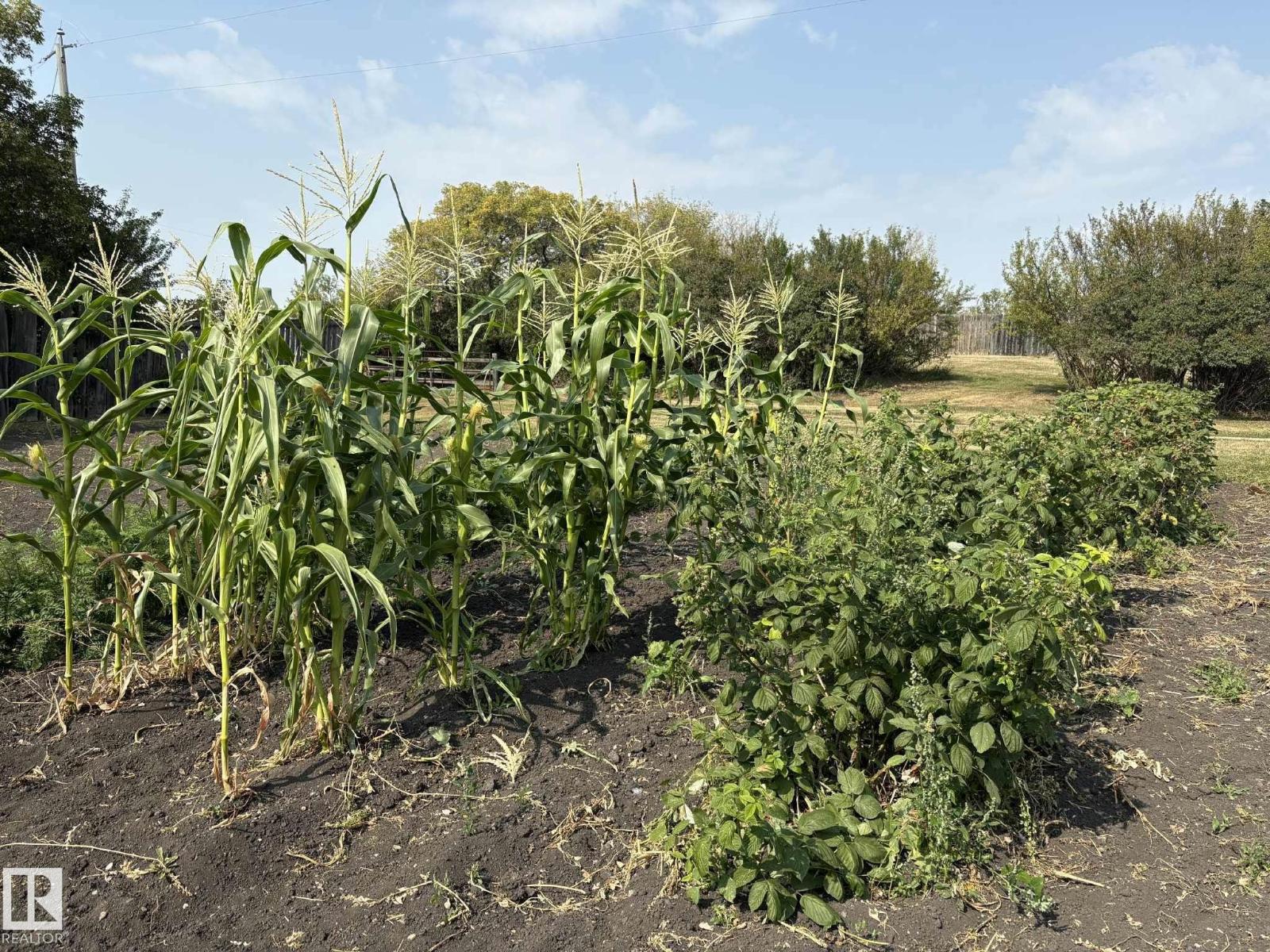 534065 174 Range Road, Rural Lamont County, Alberta  T0B 3H0 - Photo 25 - E4456415
