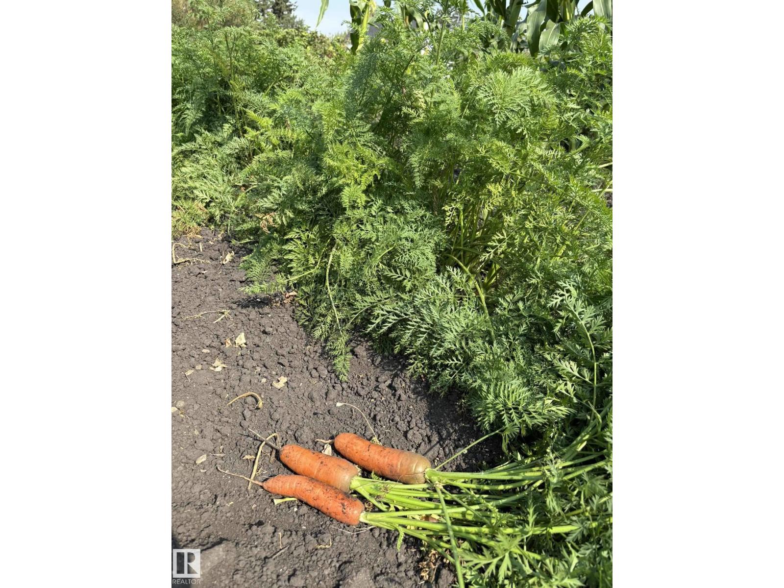 534065 174 Range Road, Rural Lamont County, Alberta  T0B 3H0 - Photo 28 - E4456415