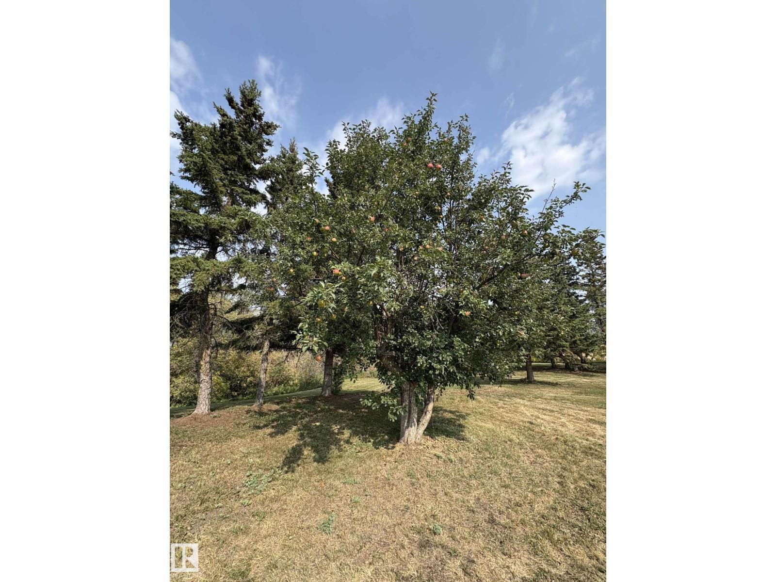 534065 174 Range Road, Rural Lamont County, Alberta  T0B 3H0 - Photo 58 - E4456415