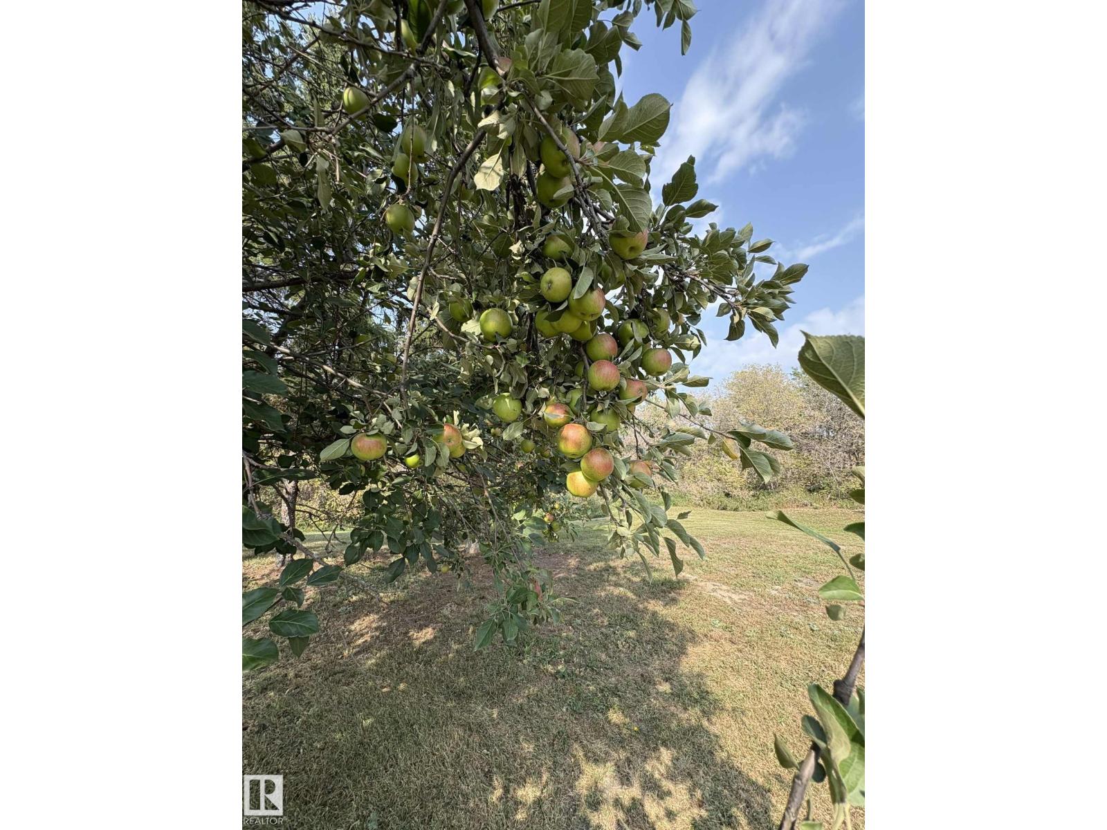 534065 174 Range Road, Rural Lamont County, Alberta  T0B 3H0 - Photo 60 - E4456415